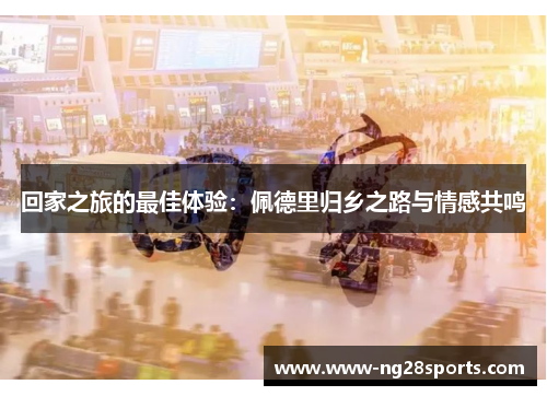 回家之旅的最佳体验：佩德里归乡之路与情感共鸣