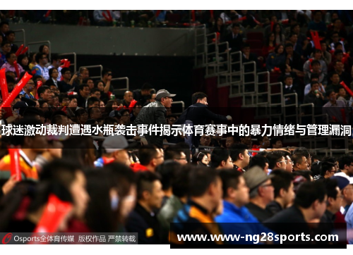 球迷激动裁判遭遇水瓶袭击事件揭示体育赛事中的暴力情绪与管理漏洞