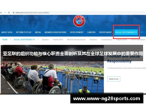 亚足联的组织功能与核心职责全面剖析及其在全球足球发展中的重要作用