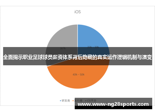 全面揭示职业足球球员薪资体系背后隐藏的真实运作逻辑机制与演变
