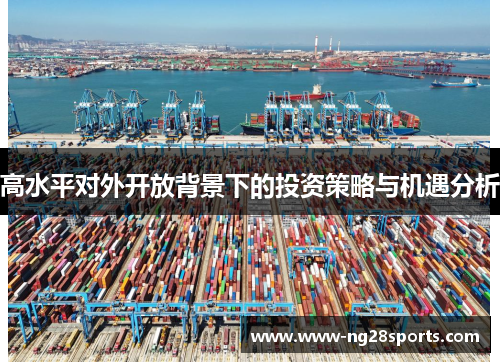 高水平对外开放背景下的投资策略与机遇分析